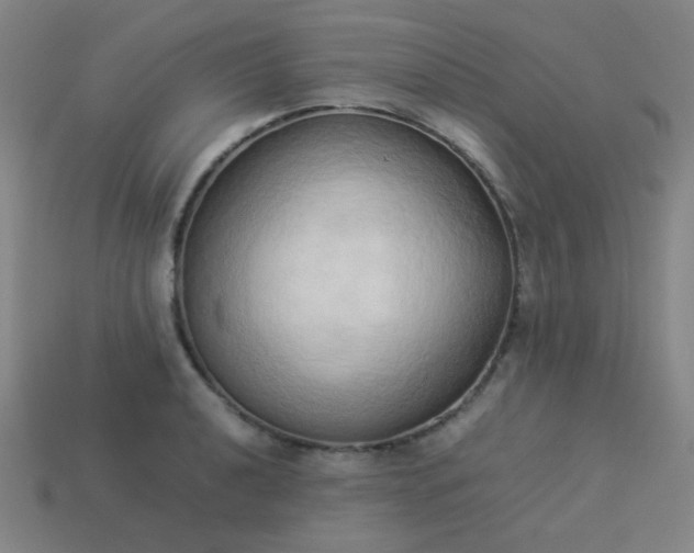 X0000114061040200910191457