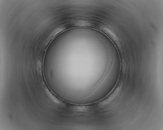 X0000114061041200910191457