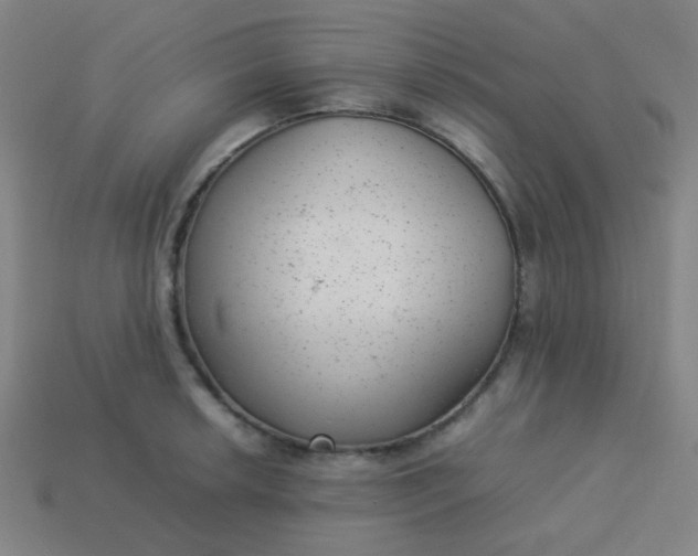 X0000114061042200910191457