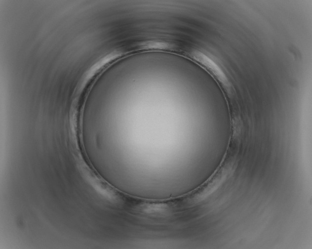 X0000114061043200910191457