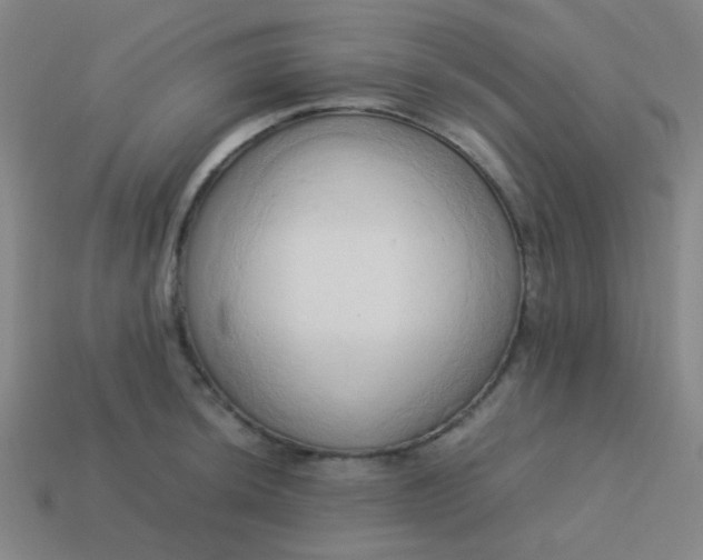 X0000114061044200910191457