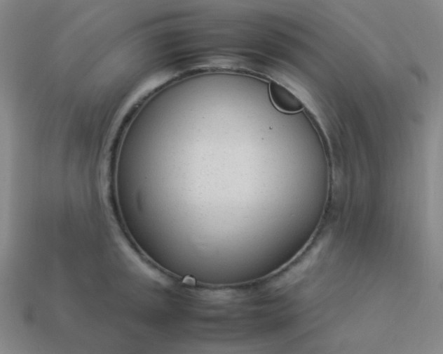 X0000114061045200910191457