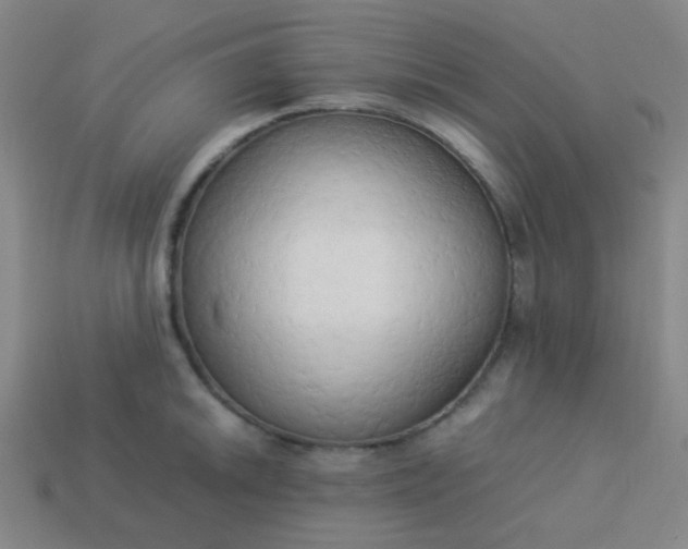 X0000114061046200910191457