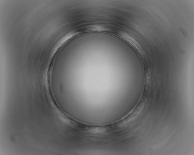 X0000114061047200910191457