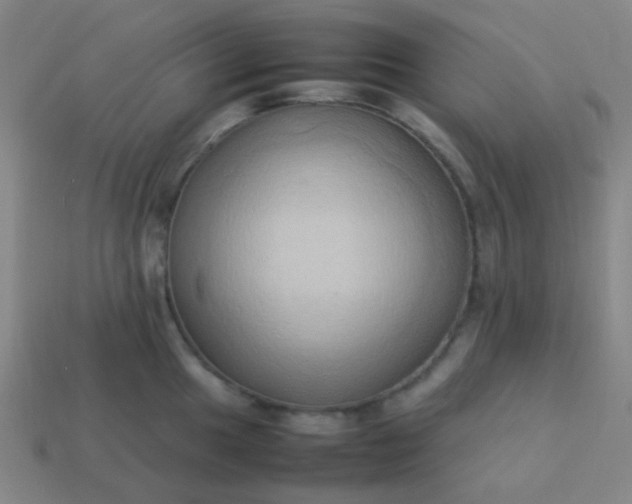 X0000114061049200910191457