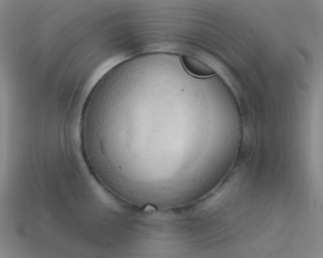 X0000114061050200910191457