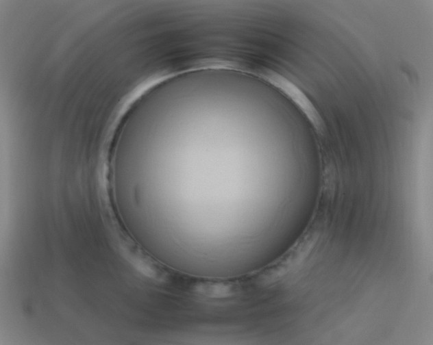 X0000114061051200910191457