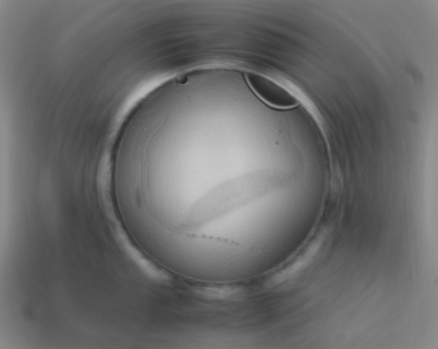 X0000114061053200910191457