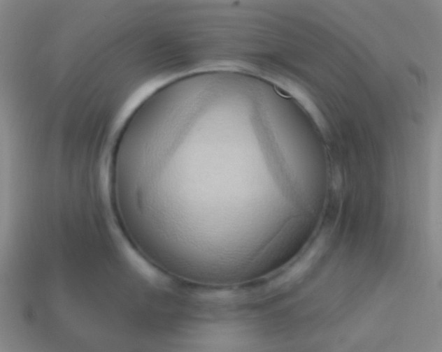 X0000114061054200910191457