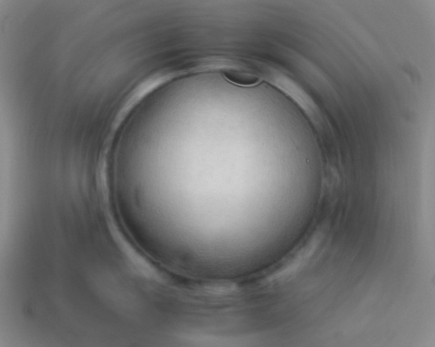 X0000114061055200910191457