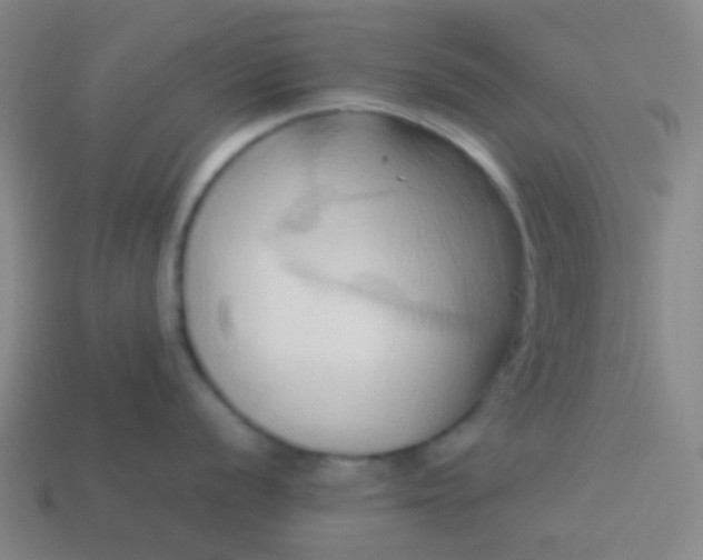 X0000114061056200910191457