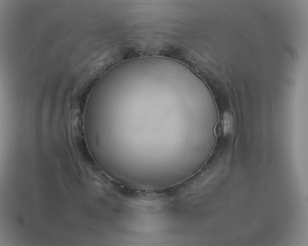 X0000114061059200910191456