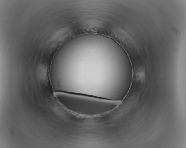 X0000114061060200910191456