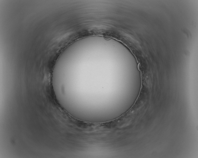 X0000114061061200910191456