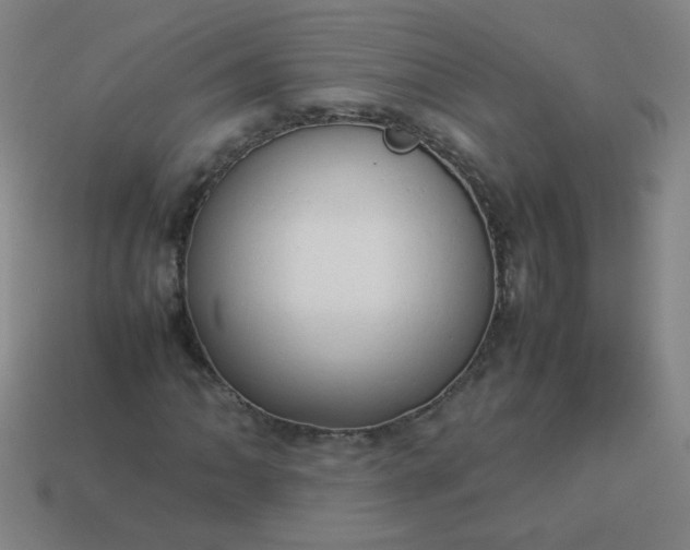 X0000114061062200910191456