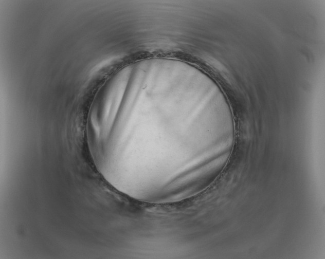 X0000114061063200910191456