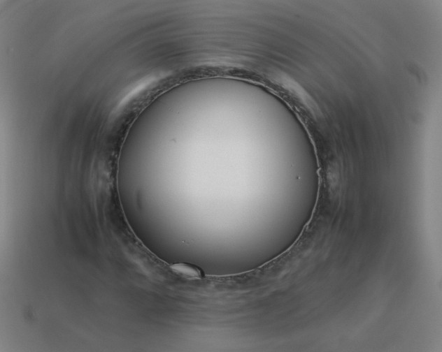 X0000114061064200910191456