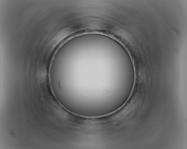 X0000114061065200910191456