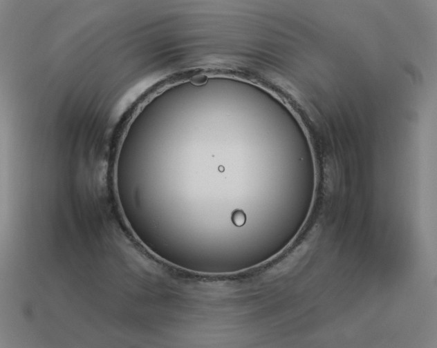 X0000114061066200910191456