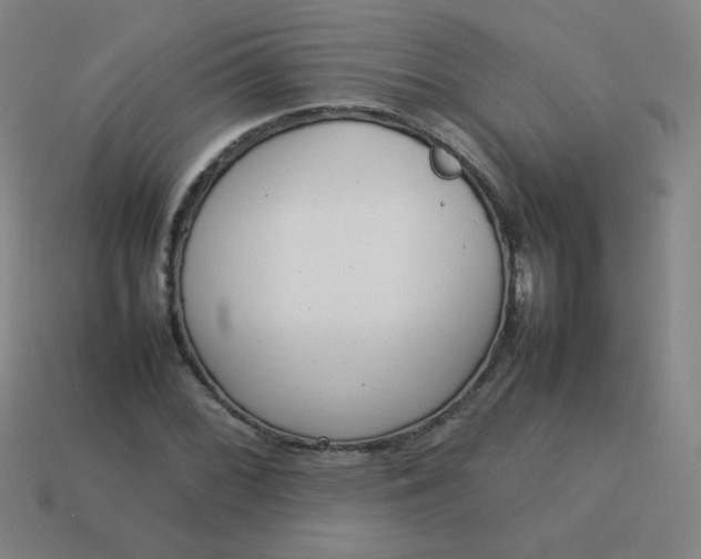 X0000114061068200910191456