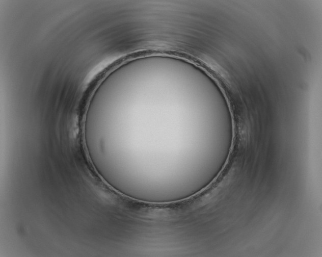 X0000114061070200910191456