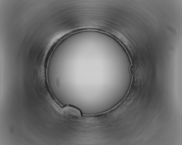 X0000114061072200910191456