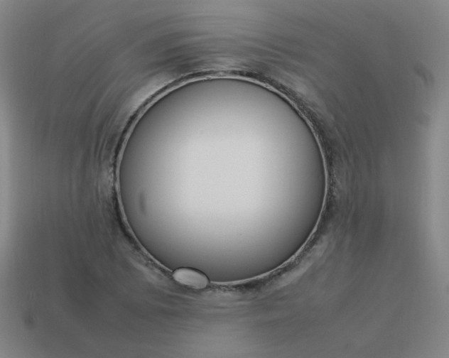 X0000114061073200910191456