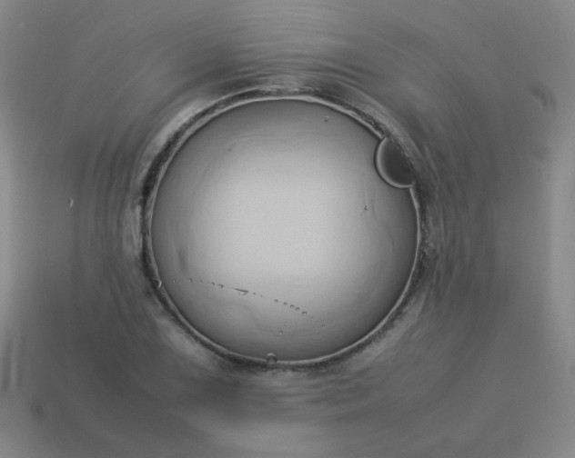 X0000114061075200910191456