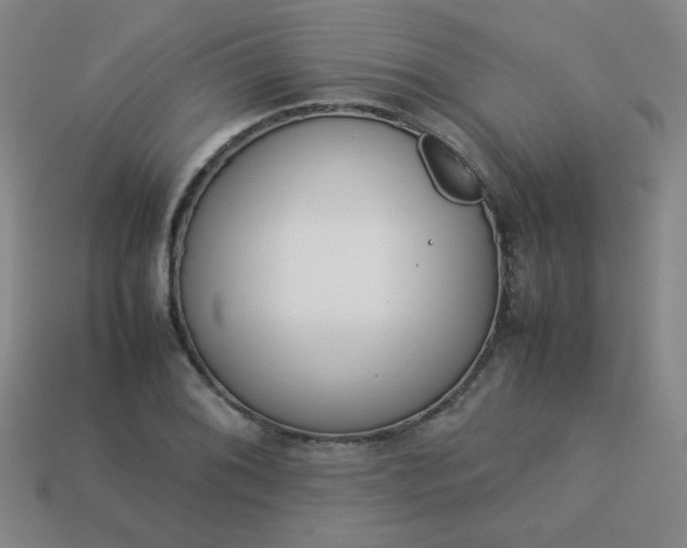 X0000114061076200910191456