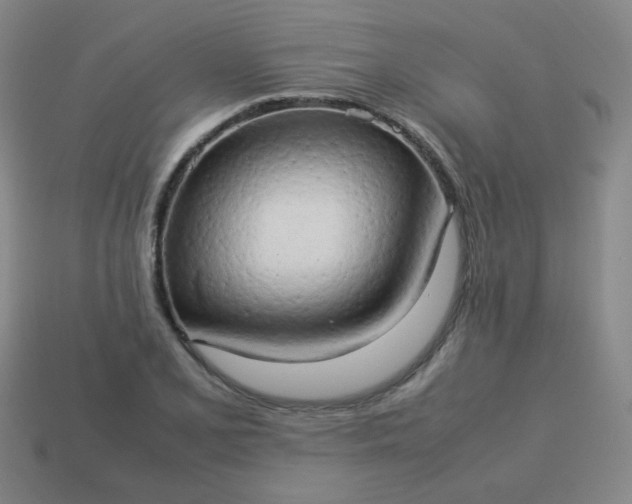 X0000114061077200910191456