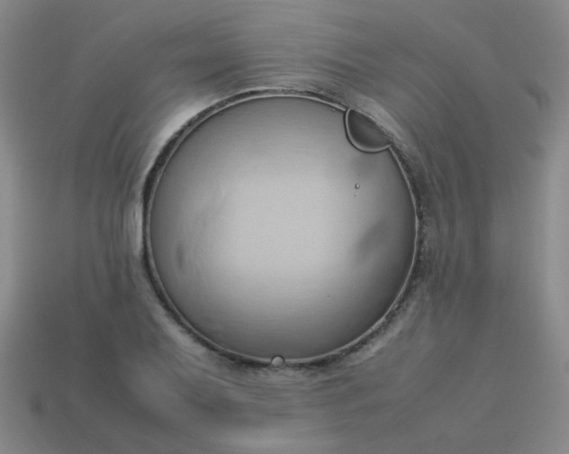 X0000114061079200910191456