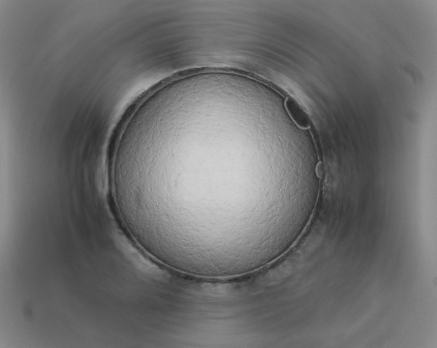 X0000114061080200910191456