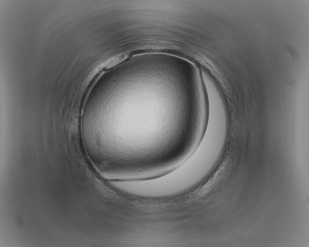 X0000114061081200910191456