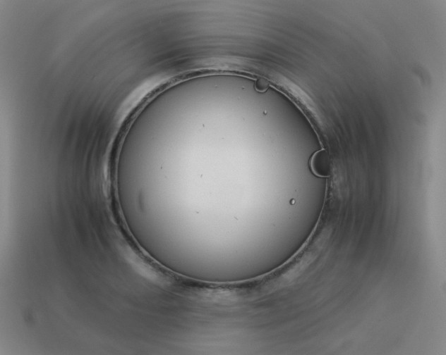 X0000114061082200910191456