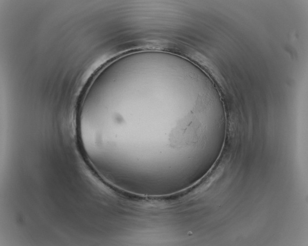 X0000114061083200910191456