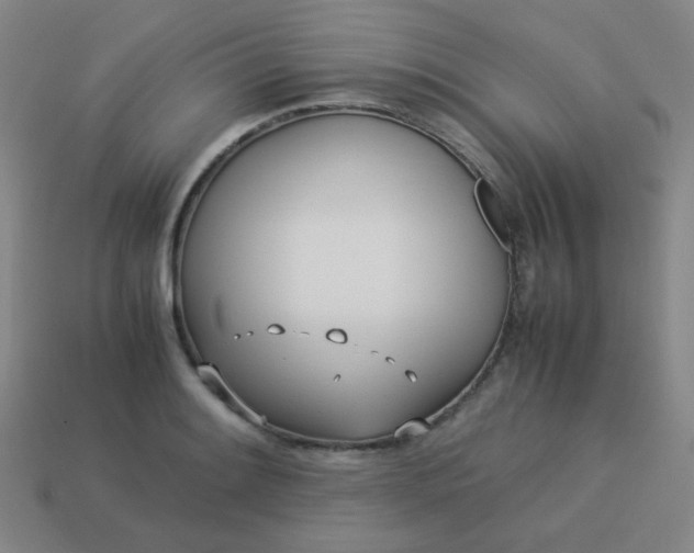 X0000114061084200910191456