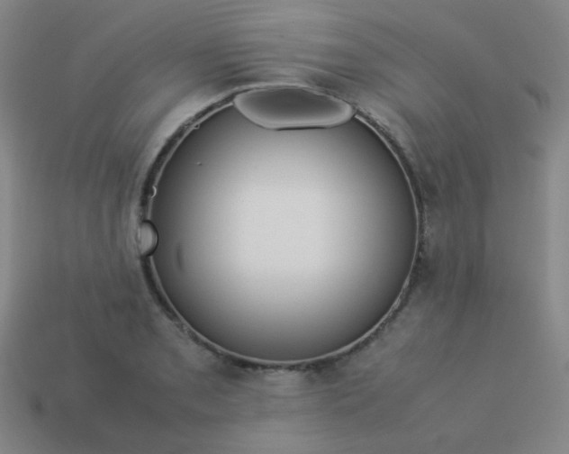 X0000114061085200910191456