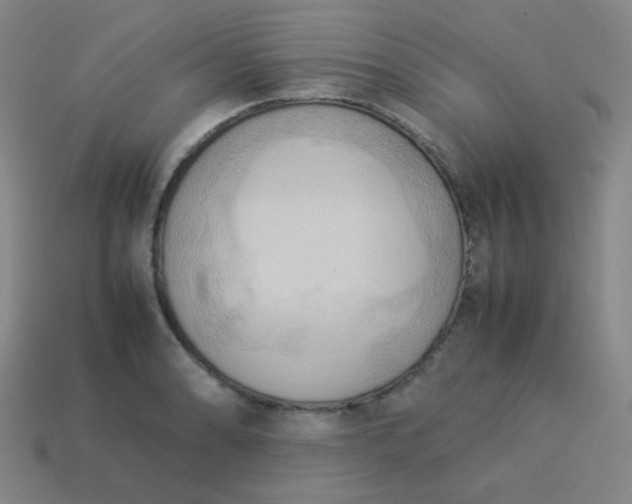 X0000114061086200910191456