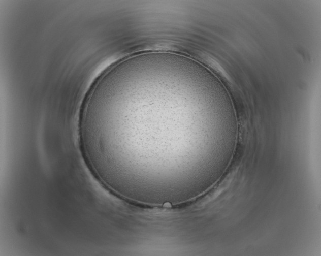 X0000114061087200910191456