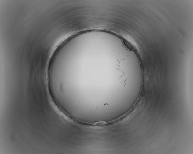 X0000114061088200910191456