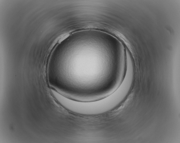 X0000114061089200910191456