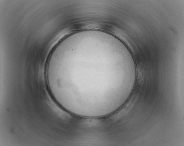 X0000114061090200910191456