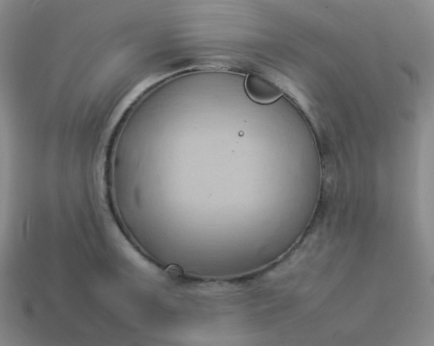 X0000114061091200910191455