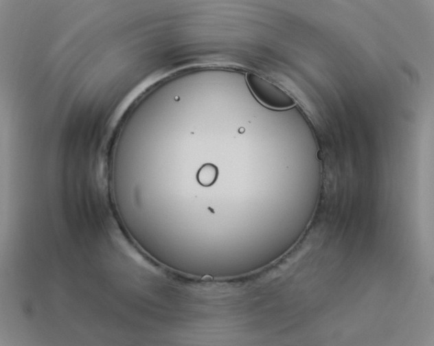 X0000114061092200910191455