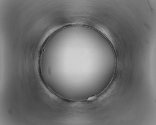 X0000114061093200910191455