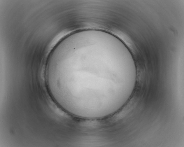 X0000114061094200910191455