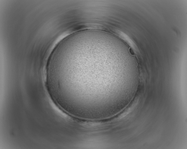 X0000114061095200910191455