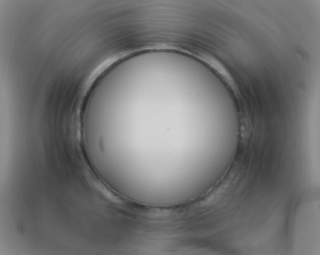 X0000114061096200910191455