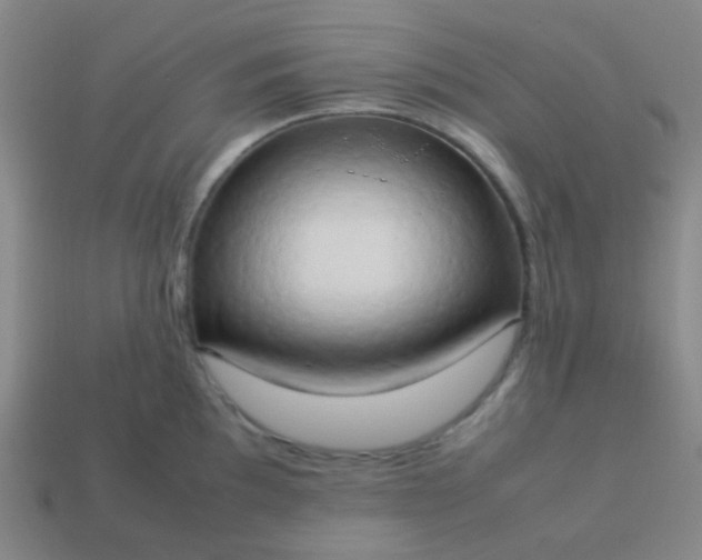 X0000114061097200910191455