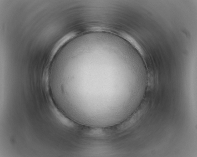 X0000114061098200910191455